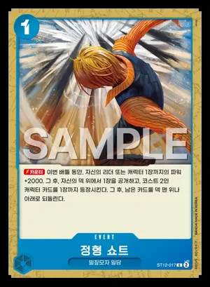 정형 쇼트 ST12-017